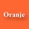 De huldiging in Amsterdam op dinsdag 13 juli 2010 >>
